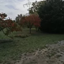 automne antre des vices