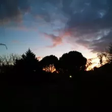 nuit antre des vices