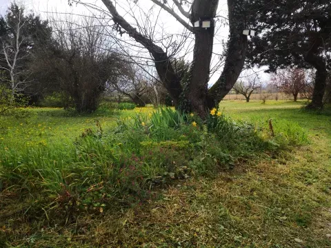 printemps antre des vices